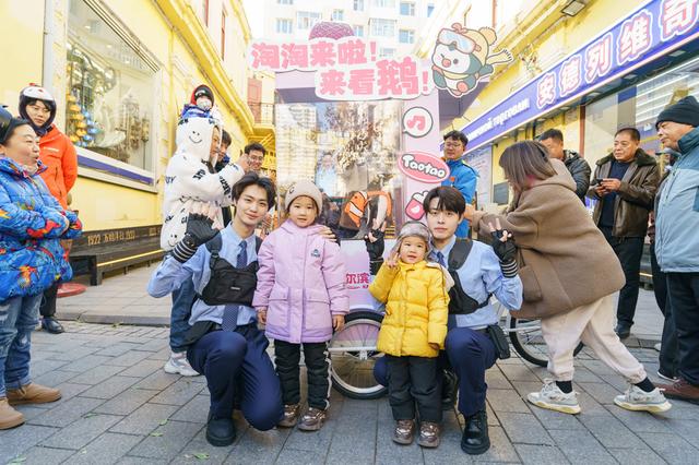 全城偶遇！哈尔滨被“淘学企鹅”小分队占领啦！