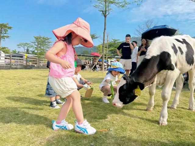 火火火！这个假期，高明开启“人从众叕”模式