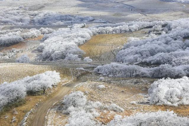 超出片！毕节冬日限定美景进入最佳观赏期