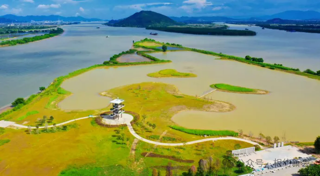 跟着赛事游新会！江门新会打造4条农文旅旅游线路