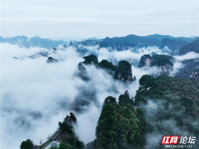 【每日一图@湖南】在杨家界的秋日云海里，遇见最灵动的中国画