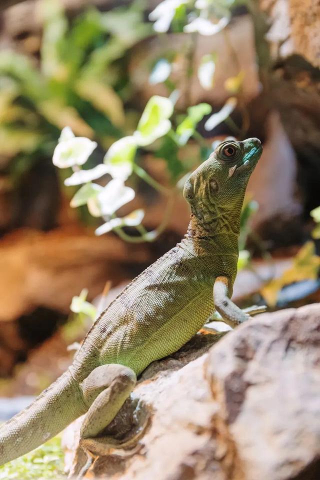 这波羊毛必须薅！舟山这一景区寒假学生免费