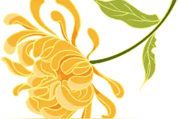 小榄菊花会今天开幕！花海抢先看→（内附攻略）图片
