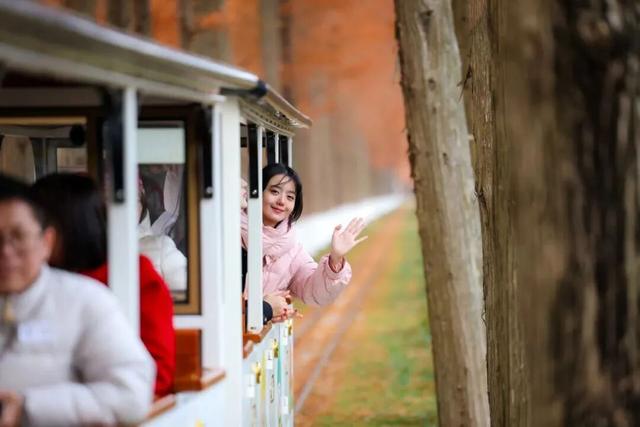 省里又点名了，还是东台