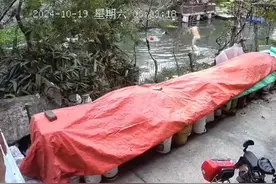 善治长安｜不顾安危勇救人，无私善举显大爱图片