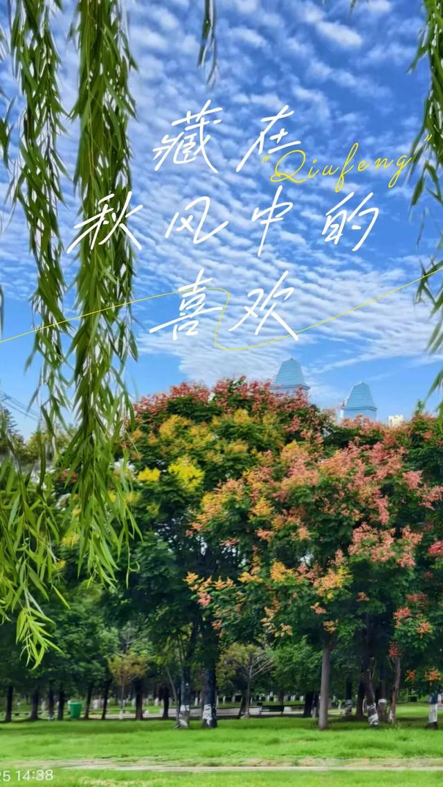 硚口的秋天，这些风景你注意到了吗？