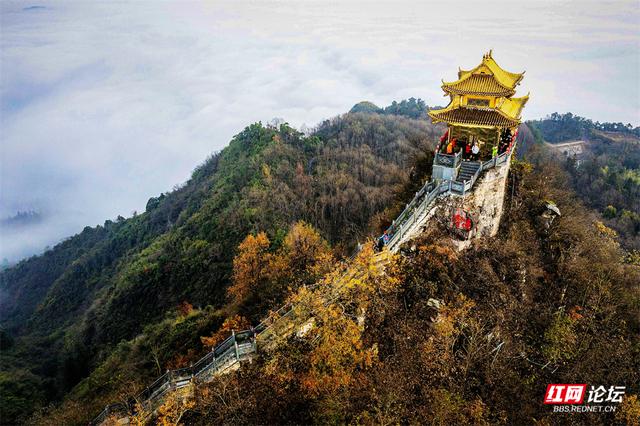 【每日一图@湖南】周末去哪儿？漫步靖州飞山云雾仙境，收藏苗侗冬日浪漫