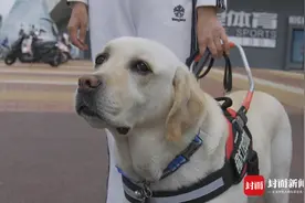 走进导盲犬的世界：“我和阿飒的故事”｜国际导盲犬日特别策划图片