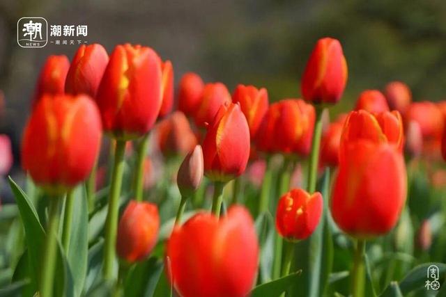 2026，我们与你续写旅途故事