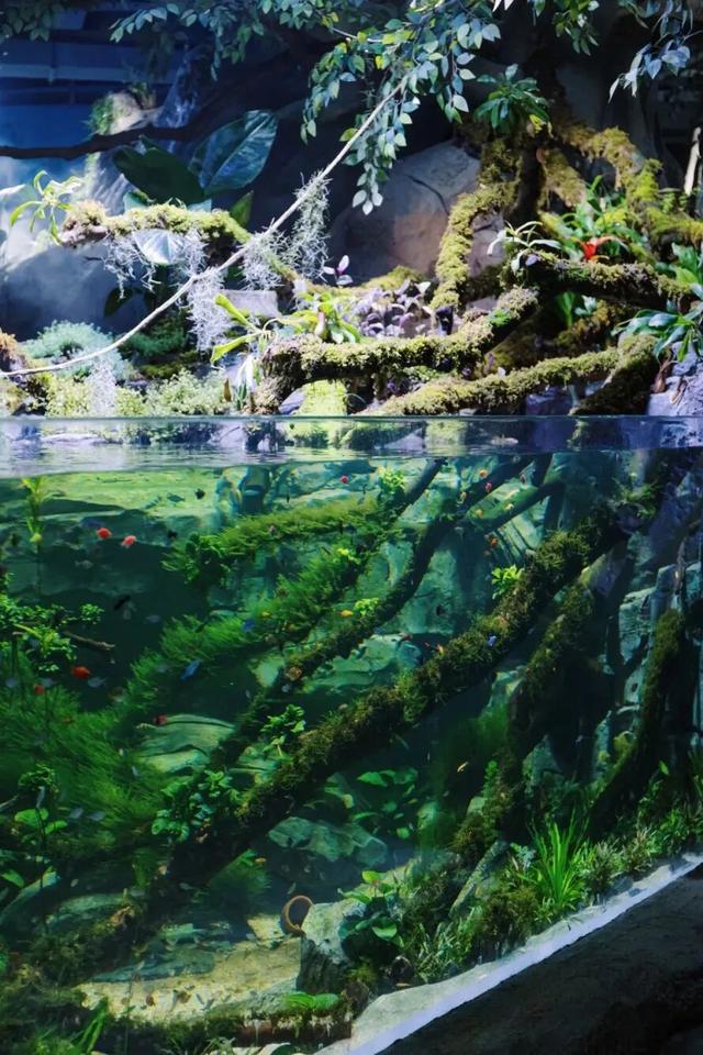 这波羊毛必须薅！舟山这一景区寒假学生免费