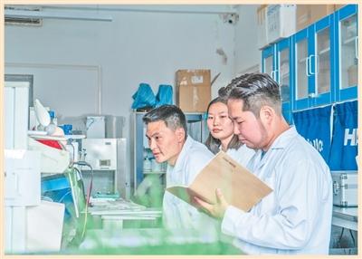 边城见闻：如何同周边国家共建美好家园，这里有答案