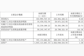 新宏泰：2023年上半年净利润3447.05万元 同比增长20.23%图片