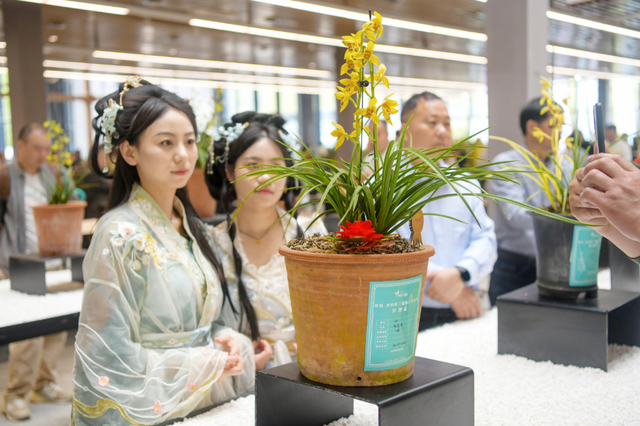 重磅！洛阳即将再添两家国家4A级旅游景区！