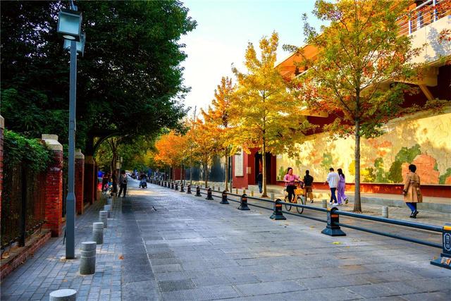 武昌街头层林尽染，如一幅古城油画等您来欣赏