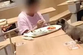 一餐厅内女子与狗共用餐具吃饭引争议，商场回应图片