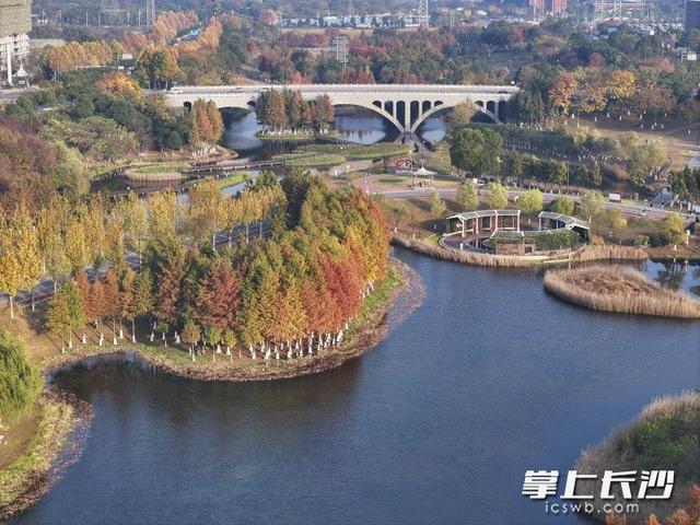 美不胜收！长沙县藏着一个五彩斑斓的秋丨组图