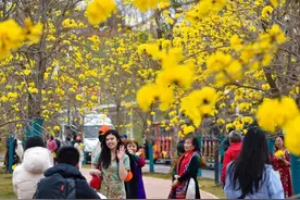 3月17日起实施！广西A级景区门票“一票管3日”图片