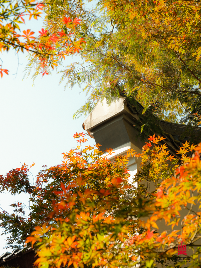 寒潮倒计时！再不来就迟了