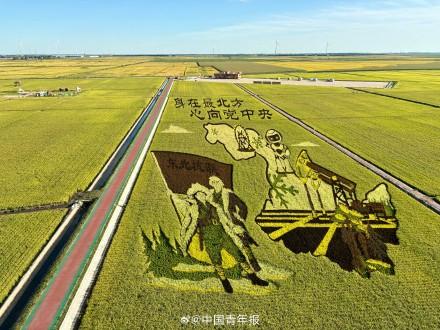 太绝了！富锦稻田画像闯入宫崎骏的夏天