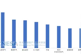 这家企业出货量缘何全球第一？图片