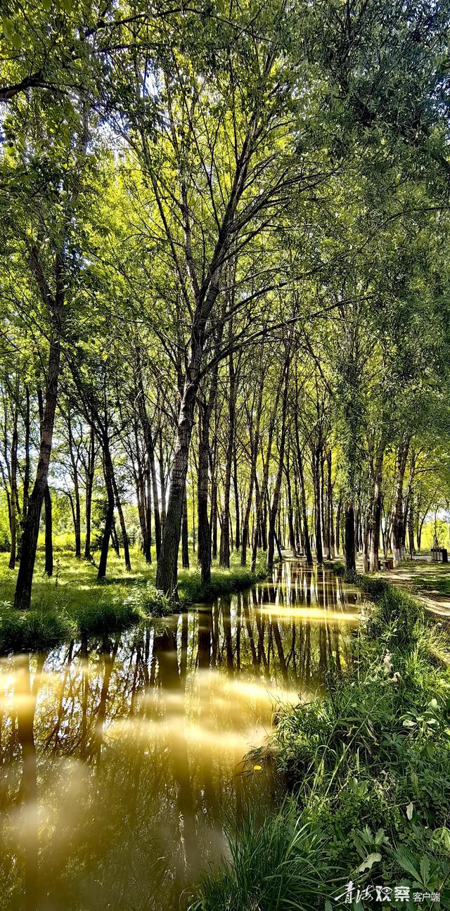 秋日西宁湟水河绿道：人在景中走 如在画中游