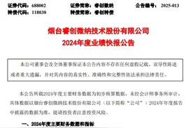 睿创微纳2024年业绩：营收43.16亿元，净利同比增长23%图片