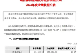 睿创微纳2024年业绩：营收43.16亿元，净利同比增长23%图片