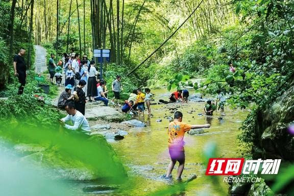 “益”起出发！益阳这5条旅游线路，承包你的精彩旅程