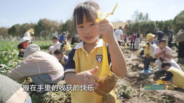 魔都隐藏新玩法！上海人的“草原梦”要实现了，就在这里↗