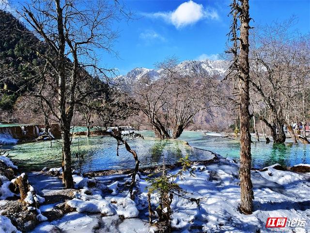 一半冰雪，一半碧波，冬日黄龙的色彩魔术