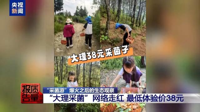 一天超万名游客进山！这个旅游项目爆火，专家警告：一旦破坏就“断子绝孙”了