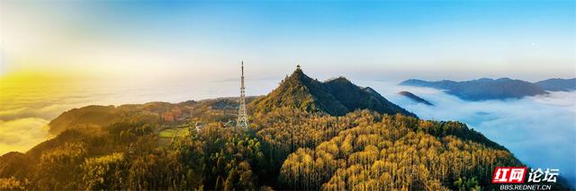 【每日一图@湖南】周末去哪儿？漫步靖州飞山云雾仙境，收藏苗侗冬日浪漫