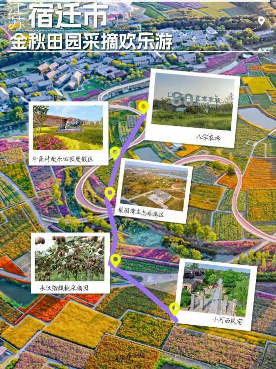 精品推荐！长三角11条线路藏满秋趣，快出发吧