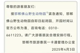 动物园有熊出逃，紧急闭园！当地：熊仍未找到！图片