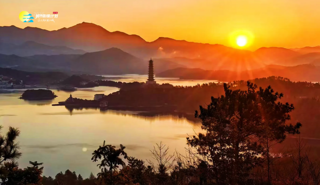 别去日本了！新洲的“同款”风景，美得更懂你