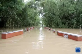 印度尼西亚中爪哇省洪水来袭图片