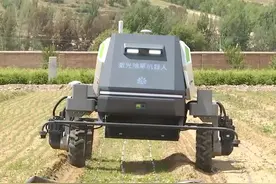 内蒙古首台高性能无人驾驶激光除草机器人“上岗”图片