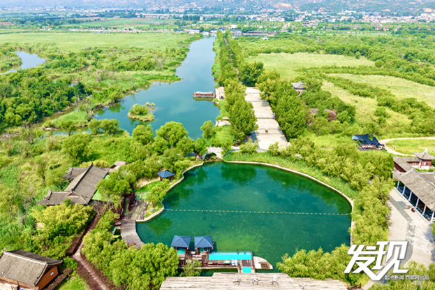 发现丨洽川湿地：绿水盈盈 芦苇丛丛