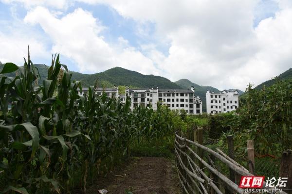 【高清湖南】玉池山居图：在青山绿水田园间，与美好相遇