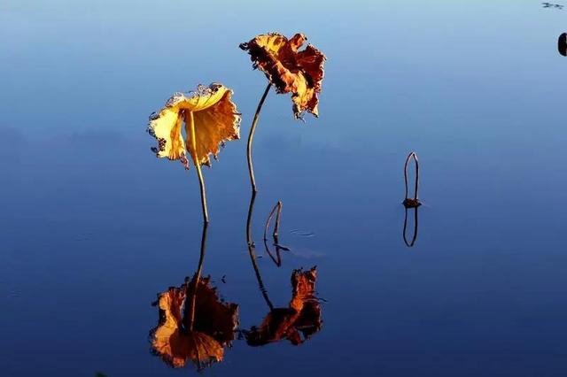 初冬的普者黑,把水墨“划”进现实