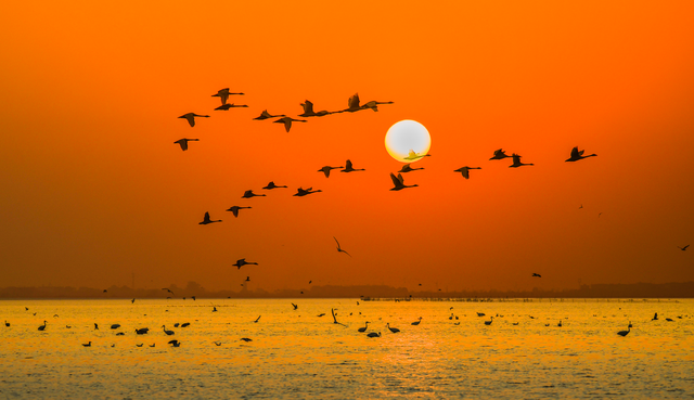 被低估的山水之城，太宝藏了！