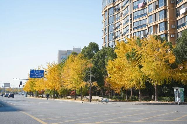 金山这些地方不小心被“曝光”了！