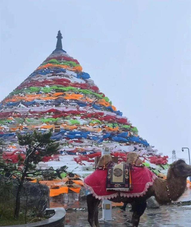 全国多地突然下雪！雪天出行安全指南→