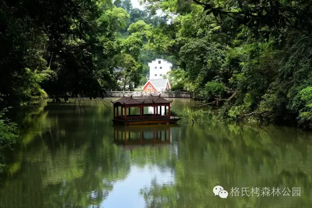 秋初凉意起！三明这些 “绿野仙踪” 藏不住了，随手拍都出片