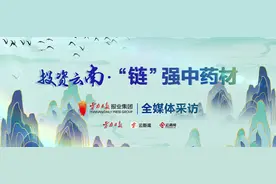 投资云南 “链”强中药材丨昆中药：历史与创新的交响图片