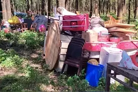 湖南团洲垸决堤背后：洞庭湖“退田还湖”三十年图片