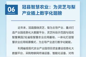 2024聊城市网络公益优秀项目展播⑥冠县智慧农业：为灵芝与梨产业插上数字化翅膀图片