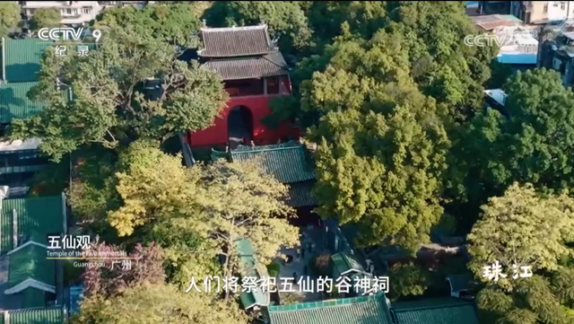 央视热播！就在身边，不少越秀街坊天天见