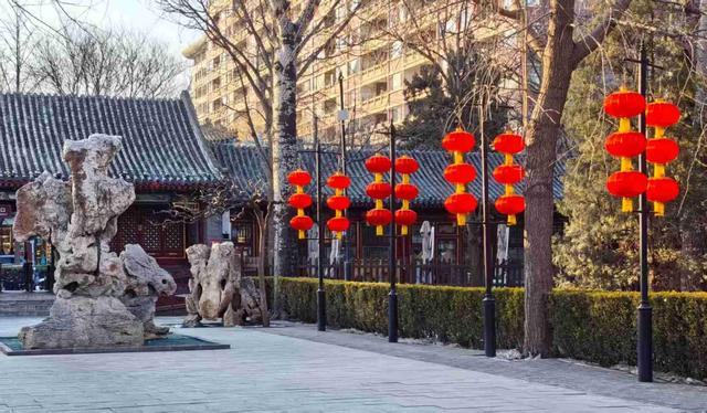 京城拍客今日精选｜大寒迎春日 冰雪绽芳华