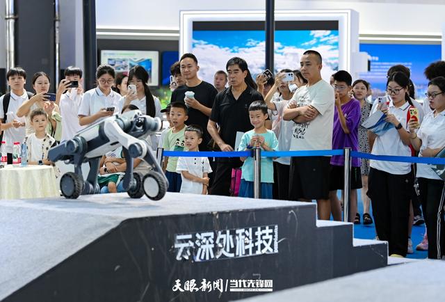 G视觉丨热度高涨！2025数博会：科技魅力吸引众人驻足
